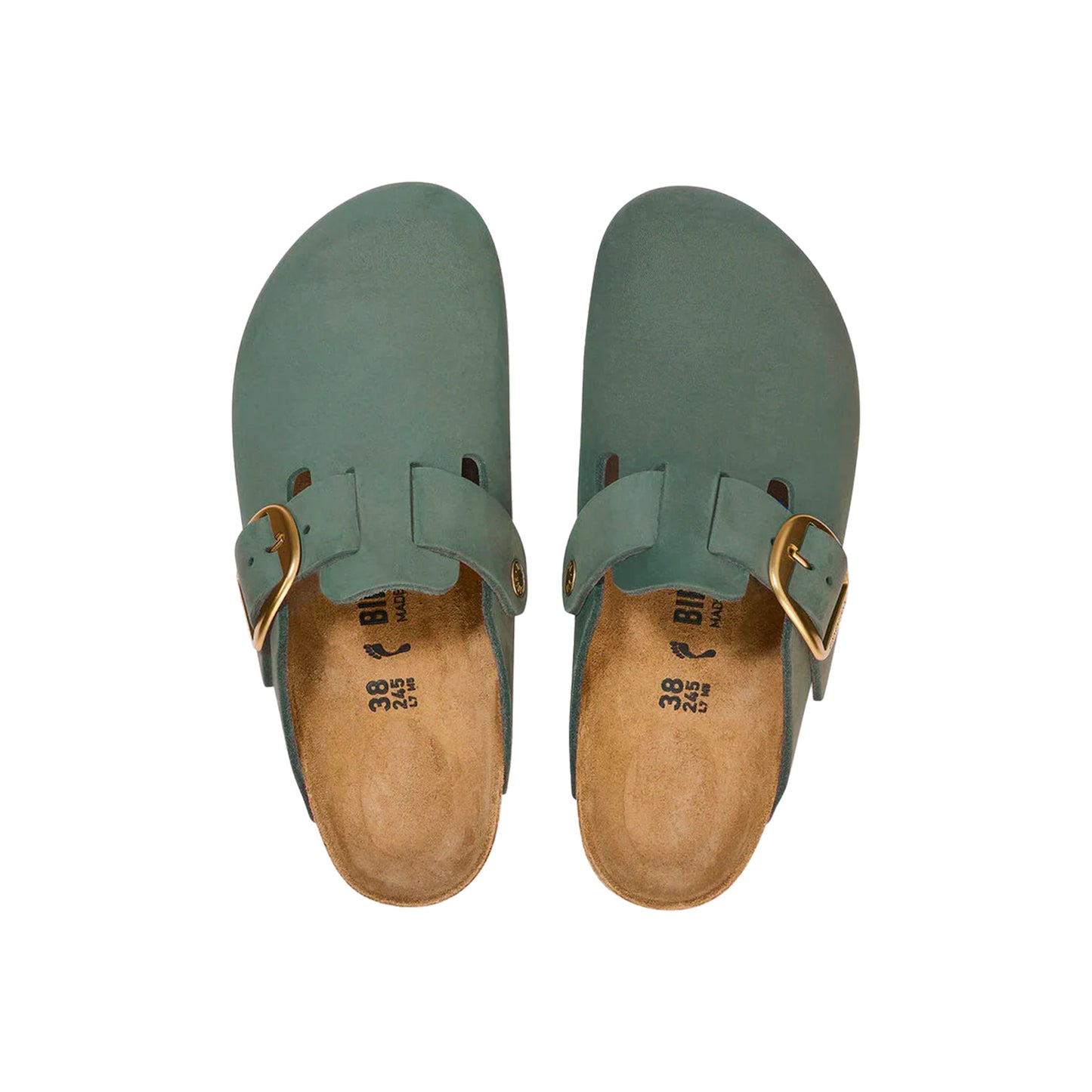 Boston Big Buckle Suede