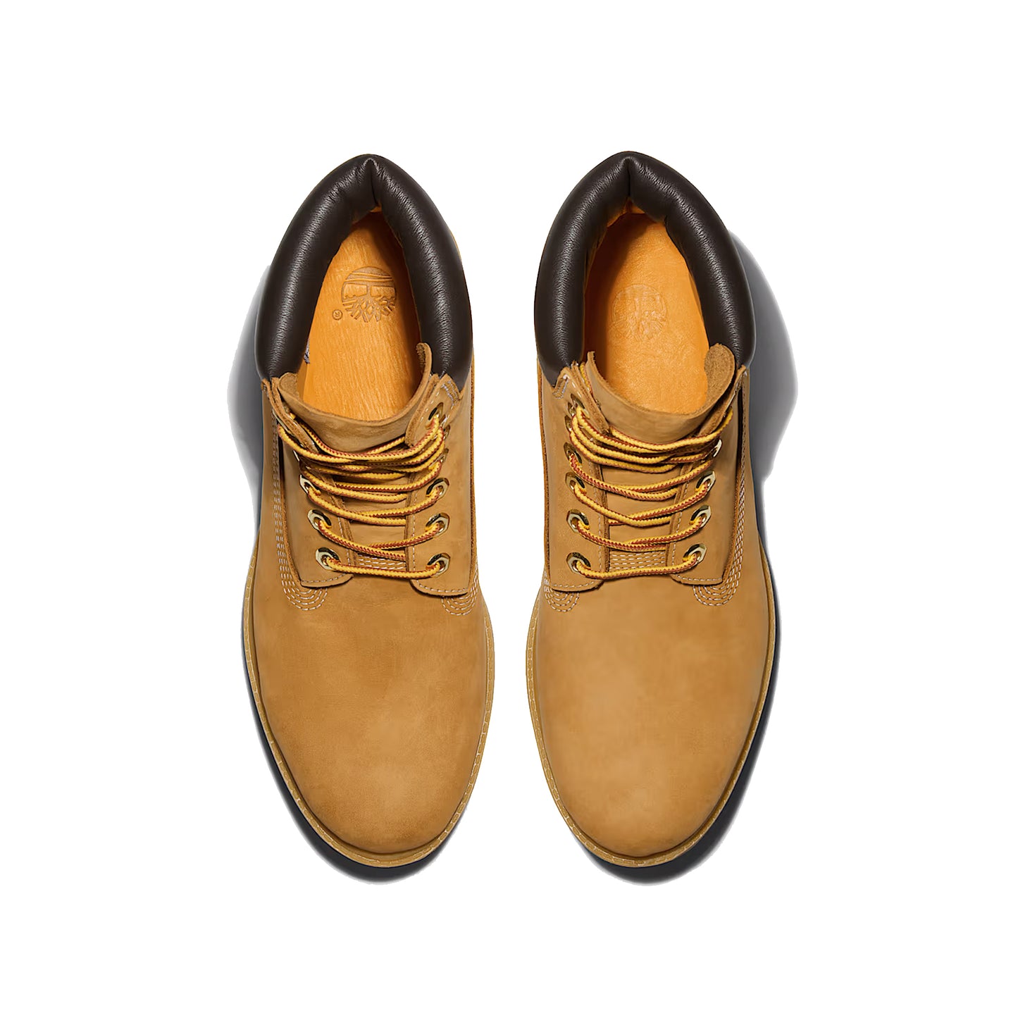 6 Inch Lace Up