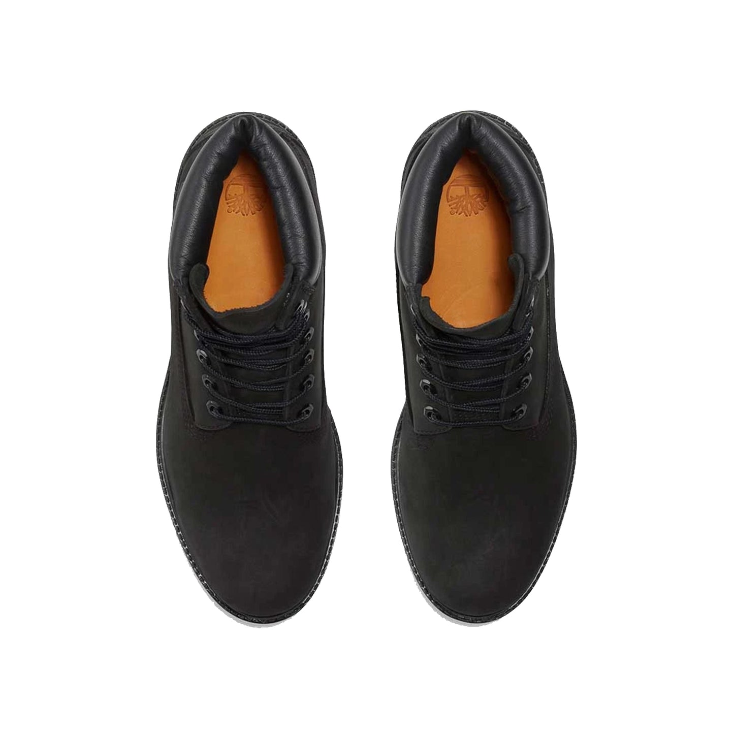 6 Inch Lace Up