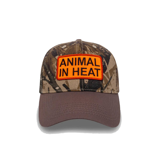 Heat Snapback