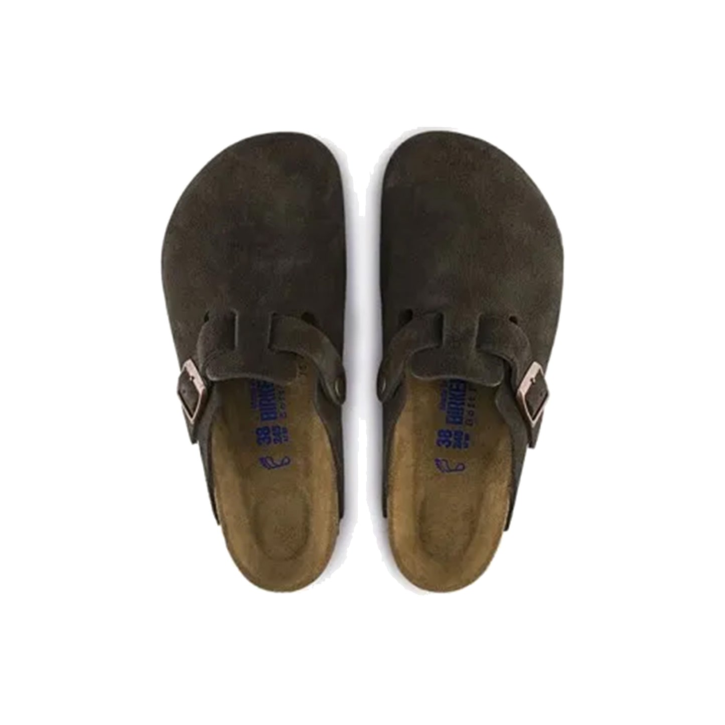 Boston BS Suede
