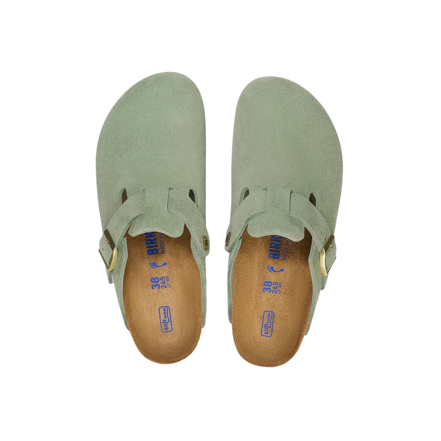 Boston BS Suede