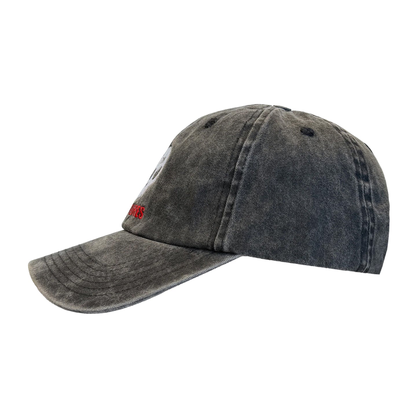 Skull Dad Cap